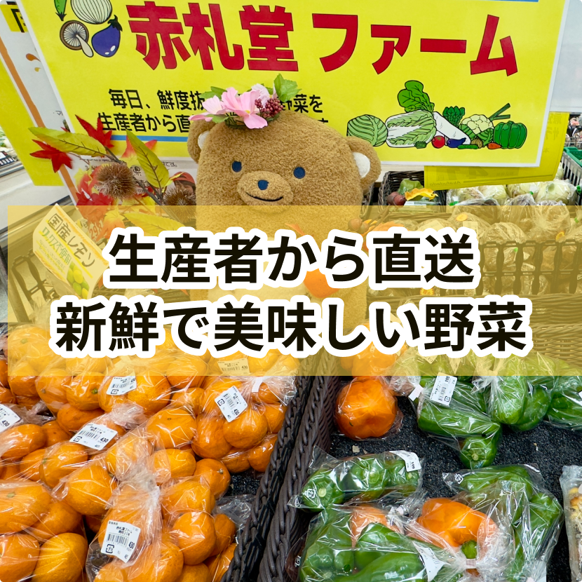[限定店舗] 赤札堂ファームの新鮮野菜
